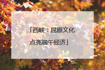 西峡：屈原文化点亮端午经济