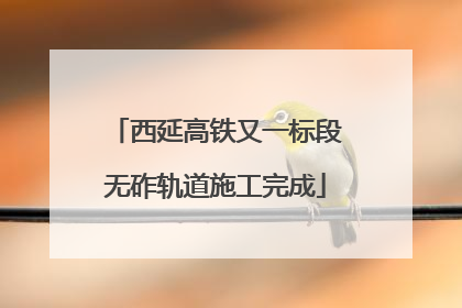 西延高铁又一标段无砟轨道施工完成