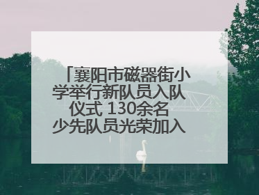 襄阳市磁器街小学举行新队员入队仪式 130余名少先队员光荣加入中国少年先锋队