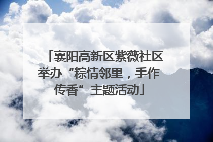 襄阳高新区紫薇社区举办“粽情邻里，手作传香”主题活动