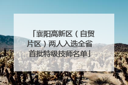 襄阳高新区（自贸片区）两人入选全省首批特级技师名单