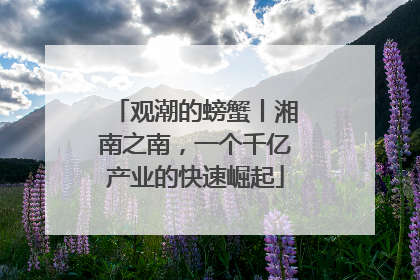 观潮的螃蟹丨湘南之南，一个千亿产业的快速崛起