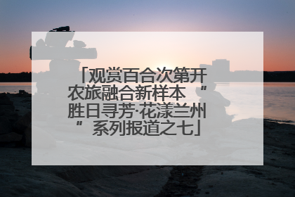 观赏百合次第开 农旅融合新样本 “胜日寻芳·花漾兰州”系列报道之七