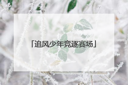 追风少年竞逐赛场