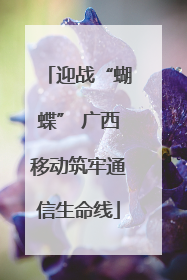 迎战“蝴蝶” 广西移动筑牢通信生命线