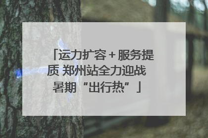 运力扩容＋服务提质 郑州站全力迎战暑期“出行热”
