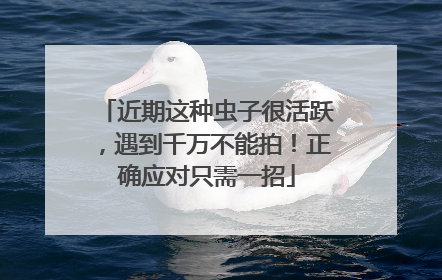 近期这种虫子很活跃，遇到千万不能拍！正确应对只需一招