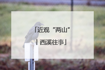 近观“两山”丨西溪往事