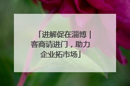 进解促在淄博｜客商请进门，助力企业拓市场