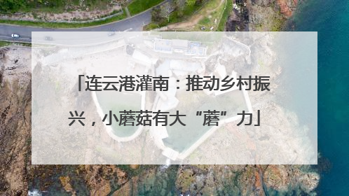 连云港灌南：推动乡村振兴，小蘑菇有大“蘑”力
