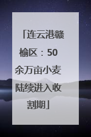 连云港赣榆区：50余万亩小麦陆续进入收割期
