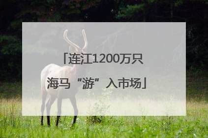 连江1200万只海马“游”入市场