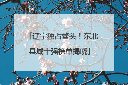 辽宁独占鳌头！东北县域十强榜单揭晓