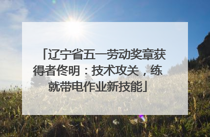 辽宁省五一劳动奖章获得者佟明：技术攻关，练就带电作业新技能