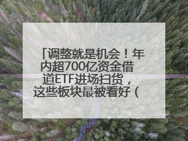 调整就是机会！年内超700亿资金借道ETF进场扫货，这些板块最被看好（附名单）