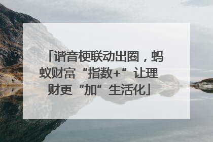 谐音梗联动出圈，蚂蚁财富“指数+”让理财更“加”生活化