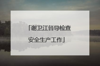 谢卫江督导检查安全生产工作
