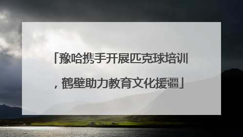 豫哈携手开展匹克球培训，鹤壁助力教育文化援疆