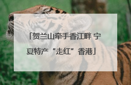 贺兰山牵手香江畔 宁夏特产“走红”香港