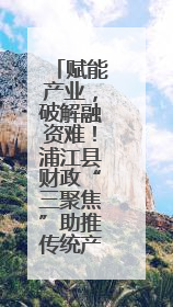 赋能产业，破解融资难！浦江县财政“三聚焦”助推传统产业转型升级