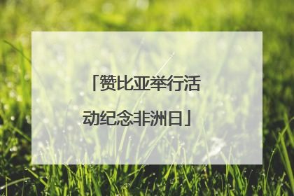 赞比亚举行活动纪念非洲日