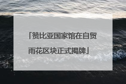 赞比亚国家馆在自贸雨花区块正式揭牌