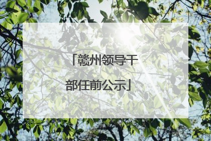 赣州领导干部任前公示