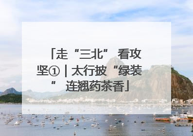 走“三北” 看攻坚①｜太行披“绿装” 连翘药茶香