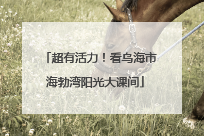超有活力！看乌海市海勃湾阳光大课间