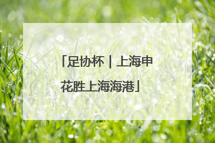 足协杯｜上海申花胜上海海港