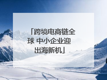 跨境电商链全球 中小企业迎出海新机