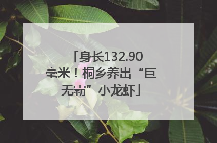 身长132.90毫米！桐乡养出“巨无霸”小龙虾