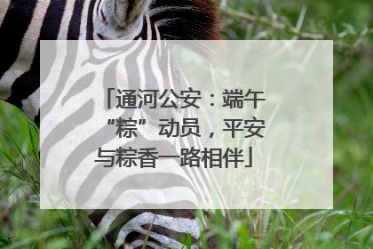 通河公安：端午“粽”动员，平安与粽香一路相伴