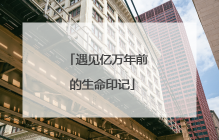 遇见亿万年前的生命印记