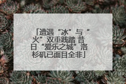 遭遇“冰”与“火”双重践踏 昔日“爱乐之城”洛杉矶已面目全非