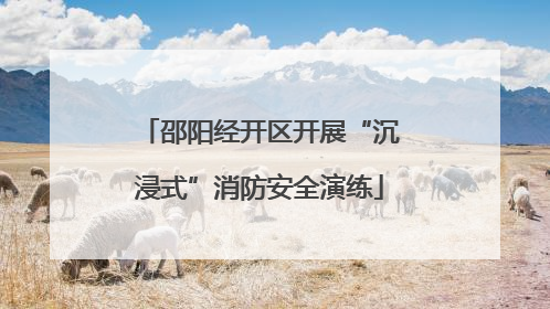 邵阳经开区开展“沉浸式”消防安全演练