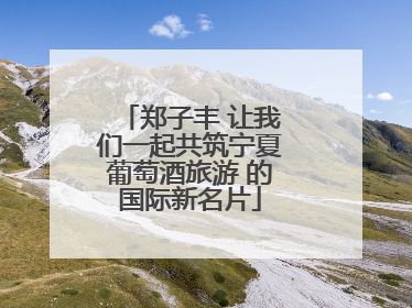 郑子丰 让我们一起共筑宁夏葡萄酒旅游 的国际新名片