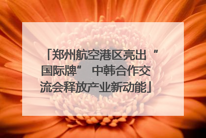 郑州航空港区亮出“国际牌” 中韩合作交流会释放产业新动能