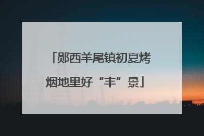 郧西羊尾镇初夏烤烟地里好“丰”景