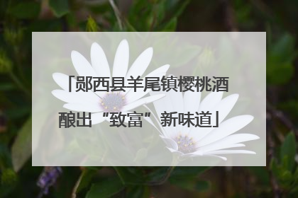 郧西县羊尾镇樱桃酒酿出“致富”新味道