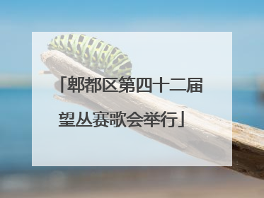 郫都区第四十二届望丛赛歌会举行