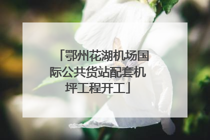 鄂州花湖机场国际公共货站配套机坪工程开工