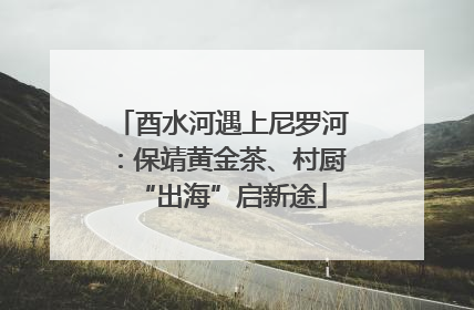 酉水河遇上尼罗河：保靖黄金茶、村厨“出海”启新途