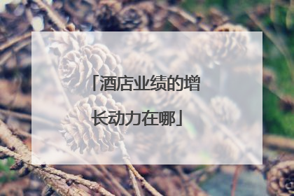 酒店业绩的增长动力在哪