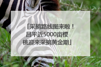 采摘路线图来啦！昌平近5000亩樱桃迎来采摘黄金期