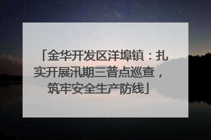 金华开发区洋埠镇：扎实开展汛期三普点巡查，筑牢安全生产防线