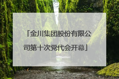 金川集团股份有限公司第十次党代会开幕