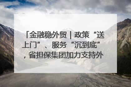 金融稳外贸｜政策“送上门”、服务“沉到底”，省担保集团加力支持外经贸高质量发展