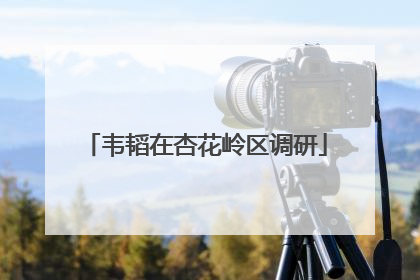 韦韬在杏花岭区调研