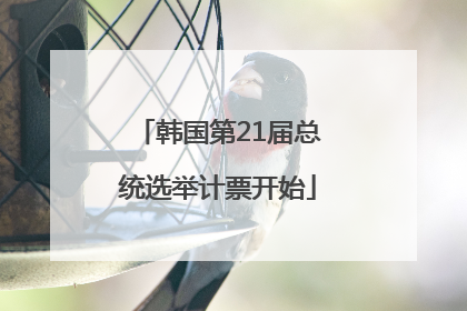 韩国第21届总统选举计票开始